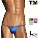 WET ハギ無しシャープ HB Lsize メンズ ビキニ 下着 パンツ アンダーウェア【TMコレクション】