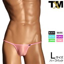 Clearskin ハイレグハギナシシャープ HB Lsize メンズ ビキニ 下着 パンツ アンダーウェア【TMコレクション】