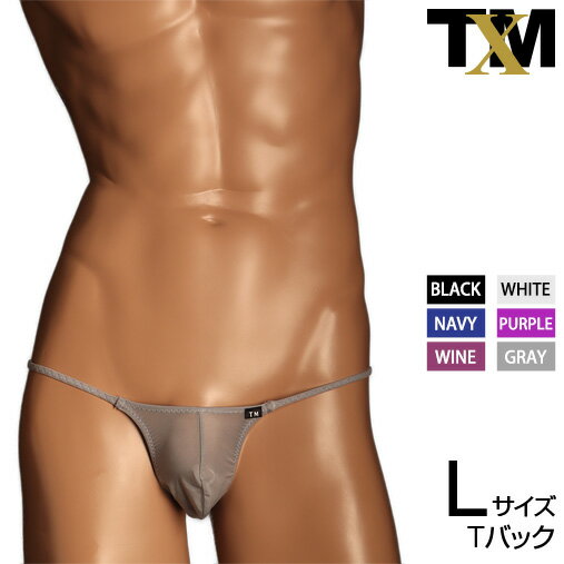 NewT2M2 sharp cut bulge TB Lsize　メンズ　Tバック　下着　パンツ　アンダーウェア【TMコレクション】