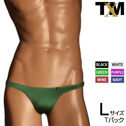 Shinysmooth �ϥ��ʥ� ���֥������� TB Lsize����󥺡�T�Хå������塡�ѥ�ġ����������������TM���쥯������