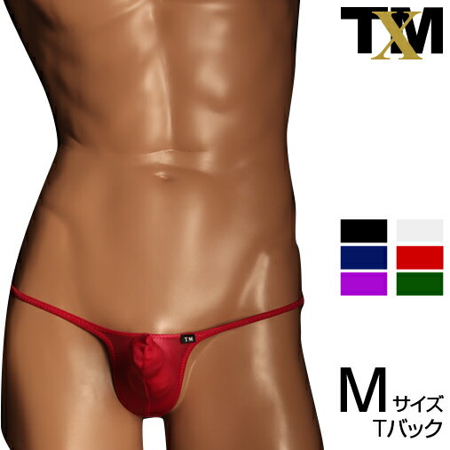 NewT2M2 low-rise upward horn TB　メンズ　Tバック　下着　パンツ　アンダーウェア