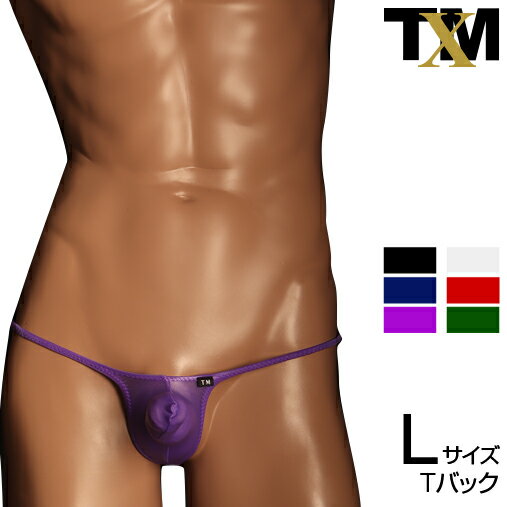 NewT2M2 low-rise upward horn TB Lsize　メンズ　Tバック　下着　パンツ　アンダーウェア