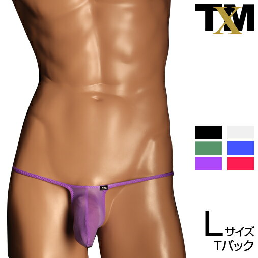 Clearskin MAX low-rise Bulge TB Lsize　メンズ　Tバック　下着　パンツ　アンダ...