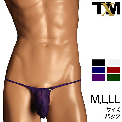 NewT2M2 Mountain Bulge TB　M/L/LLsizeメンズ　Tバック　下着　パンツ　アンダーウェア