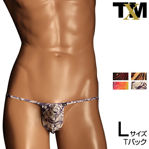 N-3 Variety of patterns JUST IMPACT HORN TB BIKINI Lsize　メンズ　Tバック　下着　パンツ　アンダーウェア
