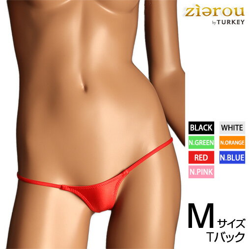 WET side string TB mini レディース ビキニ 下着 ショーツ ランジェリー セクシー ちょいエロ エッチ下着 エロかわ エロい下着 シース..