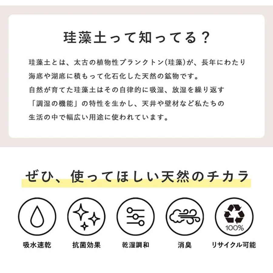 珪藻土バスマット 珪藻土マット 珪藻土 プレゼント ギフト バスマット 足拭きマッ...
