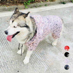 ドッグウエア 犬服 猫服 ペット服 ペットウエア 犬 猫 愛犬 ペット ペット用品 カラフル ペットグッズ 洋服 春 夏 秋 カジュアル レインコート かわいい 撥水 お出掛け お散歩 メール便