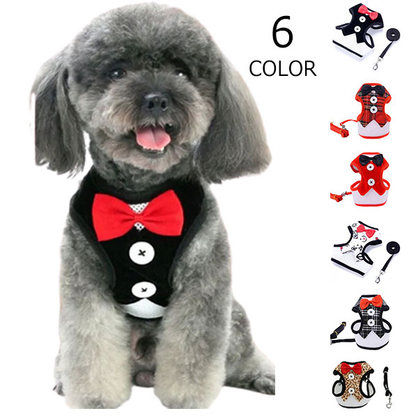 ハーネス リード 2点セット 猫用 犬用 小型犬 ペット用品 胴輪 散歩紐 リーシュ 蝶ネクタイ チェック イカリ ボタン おめかし かわいい おしゃ メール便