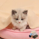 バスローブ バスタオル 犬 猫 パーカー ペットバスローブ ペットバスタオル 吸収性 無地 速乾 介護 小型犬 中型犬 大型犬 ドックウエア 猫服 犬服 お風呂...