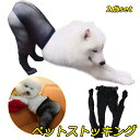 2枚セット 犬用メッシュパンツ ペット用コスプレパンツ メッシュストッキング メッシュ仕様パンツ 洗濯可能 通気性 犬用メッシュソックス 変身服 ドッグウェア コスチューム コスプレ 仮装 写真撮影 メール便