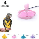 鳥用ハーネス リード オウムハーネス 小鳥用リード ハーネス 可愛い トレーニングロープ 鳥 インコ 屋外フライング 安全性 訓練用リード お出かけ 散歩 調整...