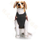 ドッグウエア 犬服 ペット服 ペットウエア 犬 愛犬 ペット ペット用品 防寒 セーター タンクトップ カラフル あったか ペットグッズ 洋服 秋 冬 シンプル...