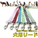 リード 犬 ペット 散歩 伸縮リード 小型犬 中型犬 大型犬 カジュアル おしゃれ 持ちやすい お出かけ 訓練 トレーニング 迷子防止 ファッションリード 犬用...