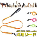リード 犬 ペット 散歩 反射 小型犬 中型犬 大型犬 ナイロン カジュアル おしゃれ 持ちやすい お出かけ 訓練 トレーニング 迷子防止 ファッションリード ...