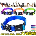 首輪 犬用 中型犬 大型犬 小型犬 ペット カラフル グラデーション イヌグッズ ドッグラン おしゃれ かわいい お散歩 脱着簡単 衝撃吸収 トレーニング 外出...