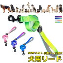 リード 犬 ペット 散歩 小型犬 中型犬 大型犬 カラフル グラデーション カジュアル おしゃれ 持ちやすい お出かけ 訓練 トレーニング 迷子防止 ファッショ...