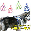 犬用胴輪 ハーネス 犬用 小型犬 ペット カラフル ドッグラン お散歩 脱着簡単 衝撃吸収 外出 お洒落 安全 プレゼント 可愛い アウトドア メール便