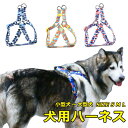 犬用胴輪 ハーネス 犬用 小型犬 ペット カラフル ドッグラン お散歩 脱着簡単 衝撃吸収 外出 お洒落 安全 プレゼント 可愛い アウトドア メール便