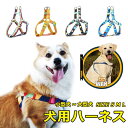 胴輪 ハーネス 犬用 ベスト 小型犬 ペット 通気性 ドッグラン お散歩 ベスト リボン 脱着簡単 衝撃吸収 外出 お洒落 安全 メール便
