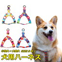 犬用胴輪 ハーネス 犬用 小型犬 ペット カラフル ドッグラン お散歩 脱着簡単 衝撃吸収 外出 お洒落 安全 プレゼント 可愛い アウトドア メール便