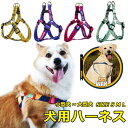胴輪 ハーネス 犬用 ベスト 小型犬 ペット 通気性 ドッグラン お散歩 ベスト リボン 脱着簡単 衝撃吸収 外出 お洒落 安全 メール便