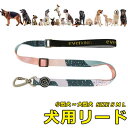 犬用リード 犬用 中型犬 大型犬 小型犬 ペット 通気性 リード ドッグラン おしゃれ かわいい お散歩 脱着簡単 衝撃吸収 トレーニング 外出 お洒落 安全 ...