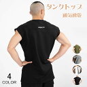 タンクトップ メッシュ メンズ ノースリーブ トレーニング 伸縮 吸水速乾 フィットネス 筋トレ スポーツウェア 夏 筋肉 メール便