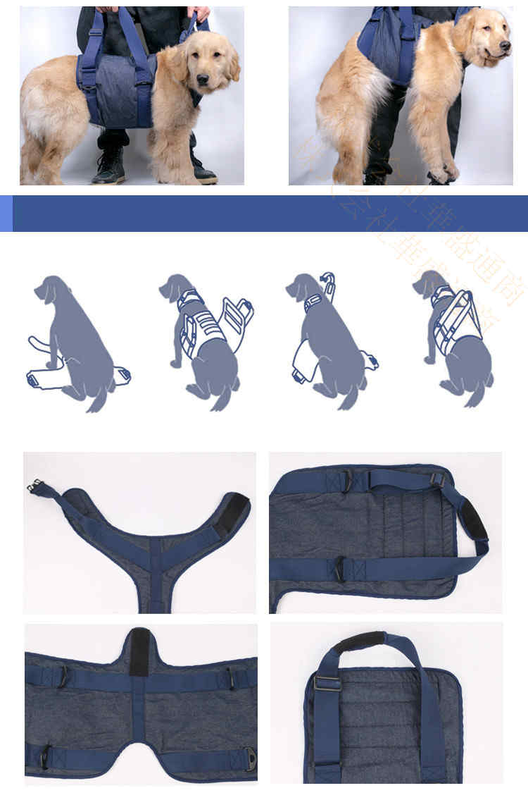 ���� �ڥå��� �ϡ��ͥ� �������ϡ��ͥ� ���ѥϡ��ͥ� ����ѥϡ��ͥ� ���ϡ��ͥ� �ɴ� �ѡ����� �������� ���󥯥ȥå� ����ե� ���� ���˥��� ���� ������� ����� ���Ѳ�� �إ�˥�