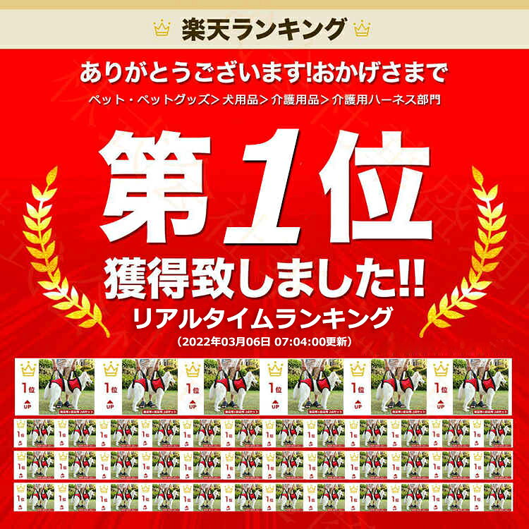 犬 ハーネス 歩行補助ハーネス 犬用ハーネス 介護用ハーネス 介護ハーネス 老犬 高齢犬 シニア犬 ケア 介護用品 介護用 犬用介護 ヘルニア 胴用 前足用 後足用 後足前足セット ty-shop-10025217 TY-SHOP サンプル画像2