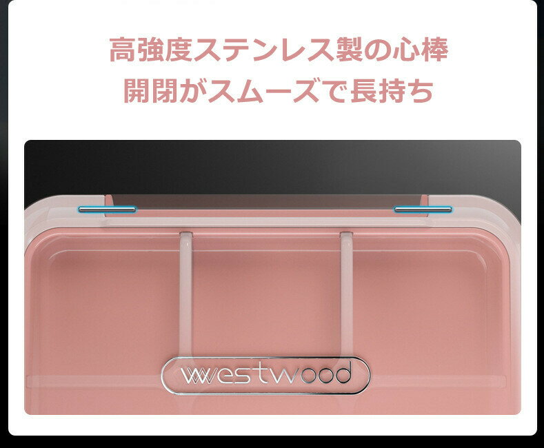 【お買い物マラソン限定ポイント20倍】薬ケースピルケース携帯用薬入れケース小物収納アクセサリー収納歯列矯正器収納収納ケース収納ボックス仕切り軽量密封6マス