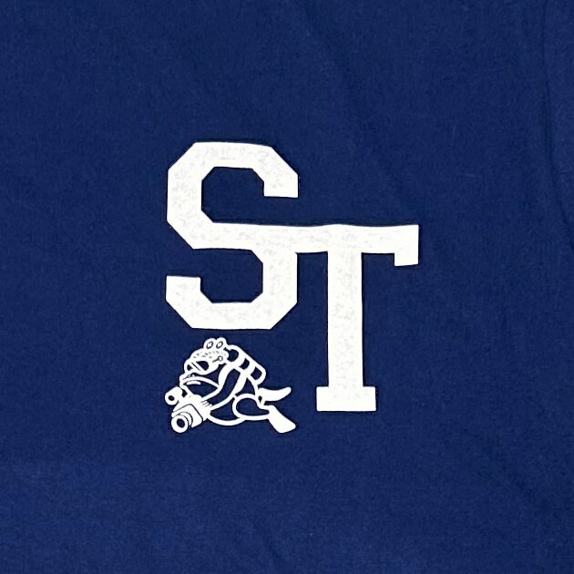 Tシャツ 半袖 コットン メンズ レディース ブランド おしゃれ カジュアル アウトドア サーフィン 釣り Stream Trail ストリームトレイル T-shirt ST Dave Diving Classic 2