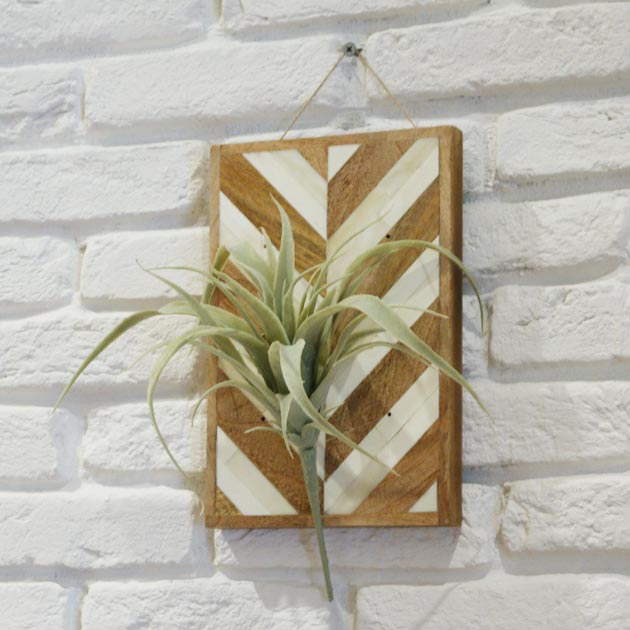 エアプランツ ホルダー ディスプレイ ハンギング 多肉植物 壁掛け 壁 可愛い ハンギング おしゃれ グリーン インテリア雑貨 レトロ 観葉植物 Goody Grams AIR PLANTS HOLDER L