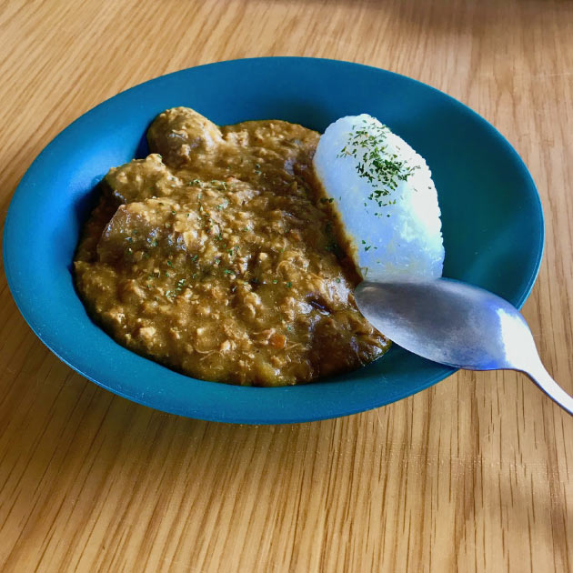 トラディションアコースティック TRADITION ACOUSTIC PLAWARE COUPE PLATE プレート 皿 おしゃれ お皿 ランチ カレー パスタ 食器 お洒落 北欧 シンプル プラスチック カフェ 軽い キャンプ レンジ対応 tycoon-10016119 Tycoon Ltd. サンプル画像2