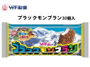 竹下製菓 ブラックモンブラン 109ml×30個 アイスクリーム