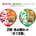 訳あり『賞味期限25.5.16〜』東洋水産 マルちゃん 赤いきつね・緑のたぬき各6個・計12個 2種セット『送料無料(沖縄/離島不可)』※ハイキュー!!キャンペ...
