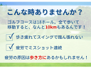 【GWも毎日出荷】リゲッタ ルーペインソール 【手持ちの靴に差し込むだけ】疲れにくい歩行をサポート！スニーカー・ブーツ・パンプス等あらゆるシューズに対応：【製造直販ゴルフ屋】※ 3