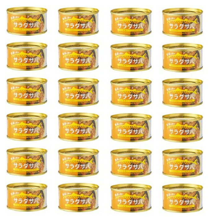 【 サラダ サバ 油漬け こくうま みそ 味 1缶 固形量 110g 総量 170g 】24缶セット 簡易梱包 木の屋 石巻水産
