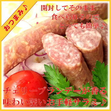ビールが旨いおつまみ【 ラインバイザー 】1パック 2本入り 約90g お取り寄せ グルメ 国産 おいしい 天然 腸詰 ソフトサラミ ビールにあう 香りの良い おつまみ チェリーブランデー の香り 手作り ハム ソーセージ の 腸詰屋