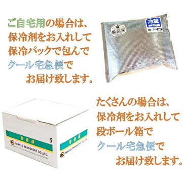 【 無添加 国産 キュウリ の ピクルス 】1パック 約250g お取り寄せ グルメ 国産 おいしい 朝食 夕食 おかず 付け合わせ タルタルソース 甘い 辛い 酸っぱい 香り 胡瓜 酢漬け 手作り ハム ソーセージ の 腸詰屋