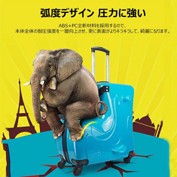 �����ĥ����� �Ҷ������륹���ĥ����� �Ҷ��ѥ����ĥ����� �Ҷ��ѥ���꡼������ ����꡼�Хå� �İ��������ĥ����� ���� ���� ι�� ����