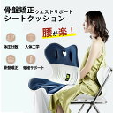ボディメイクシート スタイル 疲労 骨盤矯正 椅子 姿勢補正 メイクシート 矯正 美姿勢 イス 座椅子 人体工学 スマホ首 猫背 反り腰 クッション ゆがみ 腰痛 対策 姿勢ケア 在宅ワーク デスクワーク オフィス 座り仕事 通気性抜群 女性 子供 男性 プレゼント(4)
