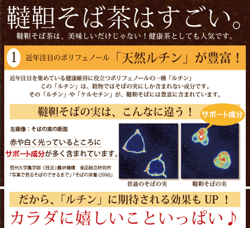 北海道産韃靼そば茶50g国産無農薬(自社農園/北海道産)美容と健康にルチン100倍食べても雑穀米代わりにも【長命庵】【お茶】ノンカフェイン