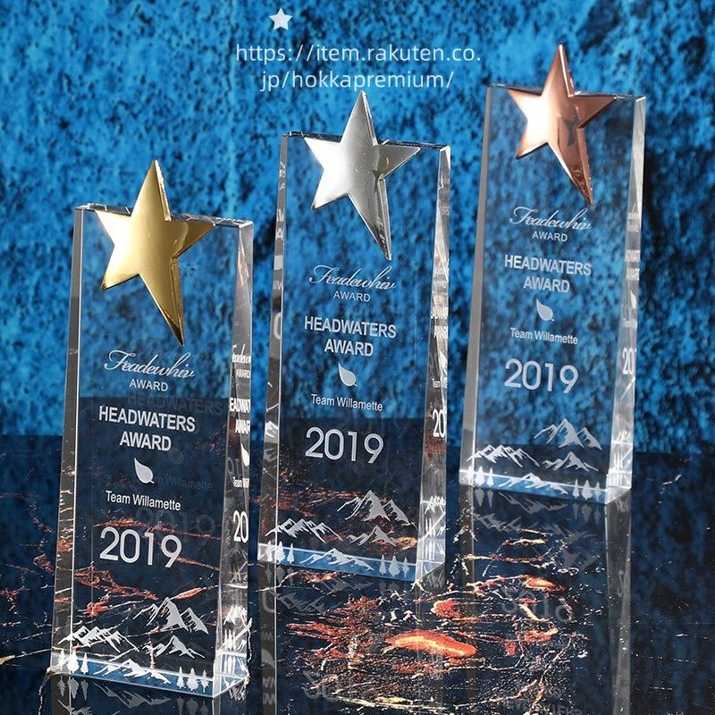 【送料無料】【文字彫刻無料】トロフィー スポーツ 競技会 試合 優勝者 授与 記念品 賞品 カップ 盾 像..