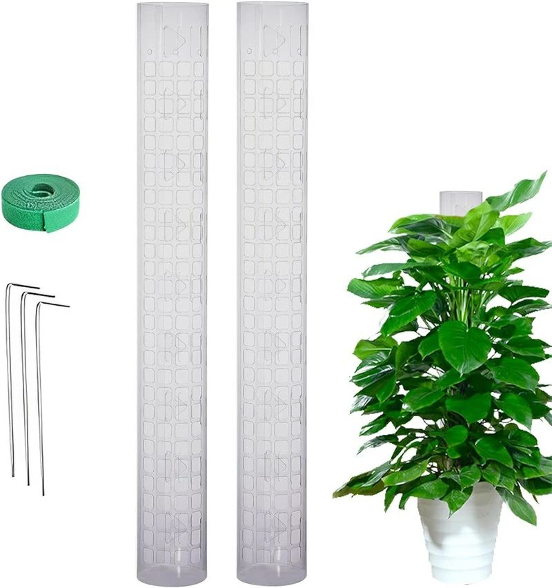 【送料無料】モンステラ モスポール クリア 植物サポート 透明 調節可能 苔ポール 苔ポール用 植物サポ..