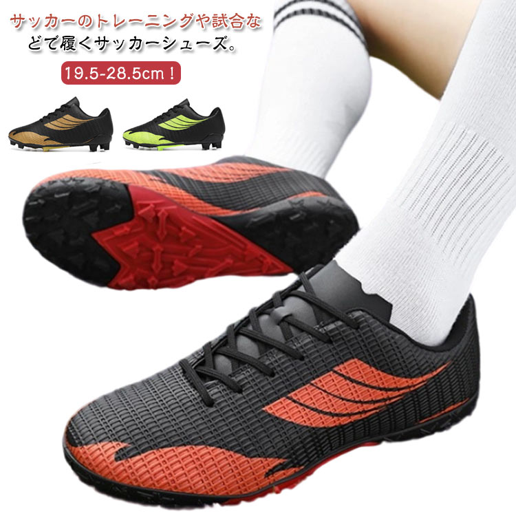     å 塼  ˡ ȥ졼˥󥰥塼 å塼 ǥ å塼 ѥ塼 ͹ ...