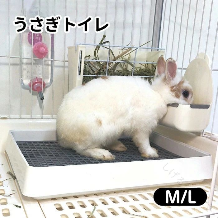 無地 四角形 ウサギトイレ メッシュスノコ付き トイレットペーパー チンチラ 大きい（L）使いやすい設計で清潔キープ ウサギ用品 トイレットティシュー トイレスタンプ トレー 飼育ケージ内装用 フラットトイレ