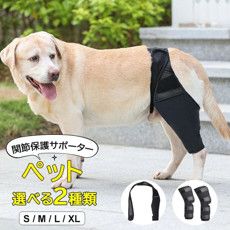 【送料無料】愛犬の膝のブレをしっかり制限するサポーター ♪選べる2種類 関節プロテクター 小型犬 中型..