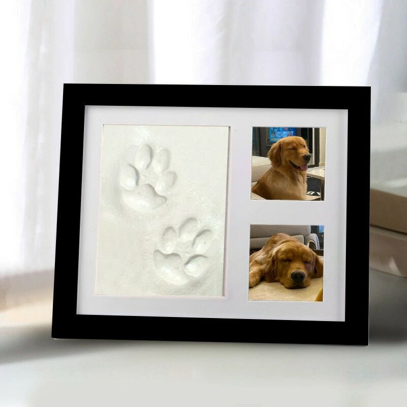 ������̵���ۥ٥ӡ��ե졼�� ��� ­�� �ڥå� �ե��ȥե졼�� ��Ĺ��Ͽ �٥ӡ��ե��ȥե졼�� ������ �֤��ݤ����� �̿�Ω�� ̾���� �л��ˤ� ��ˤ� ���­�����å� �ڥå����� ̵�� ���� �ץ쥼��� ���ե� �л� �֤����
