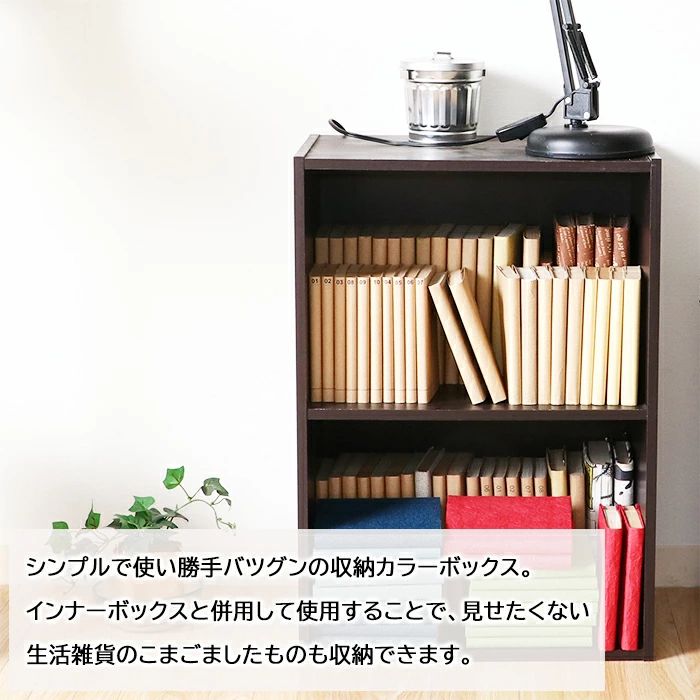 【送料無料】 カラーボックス 文庫本 漫画本 本棚 シェルフ 2段 小物整理 おしゃれ 推し活 収納 [3]
